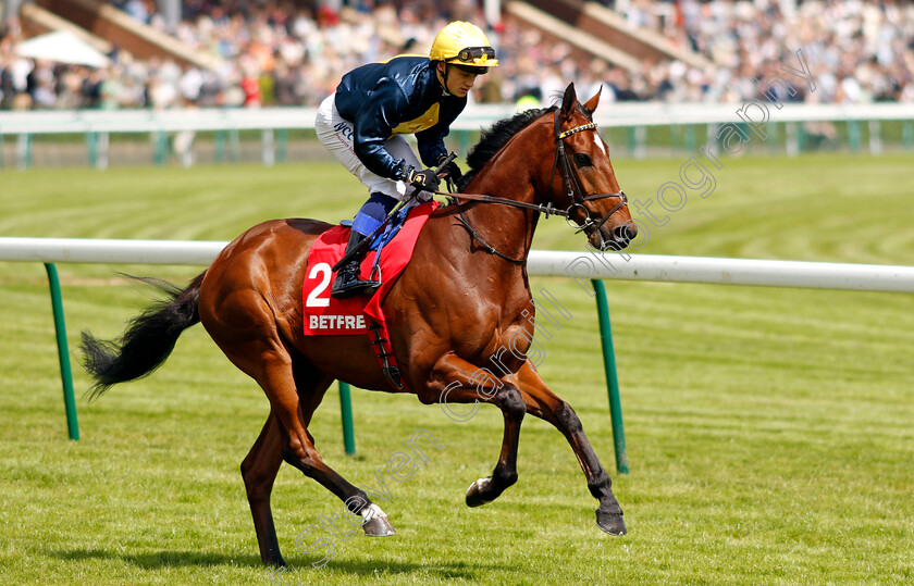 Max-Mayhem-0001 
 MAX MAYHEM (Benoit de la Sayette)
Haydock 8 Jun 2024 - Pic Steven Cargill / Racingfotos.com