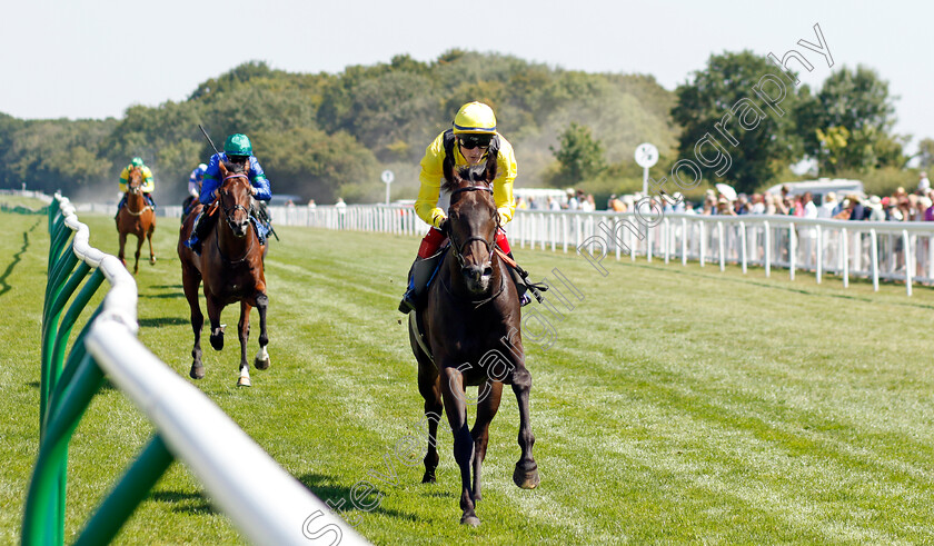 Faattik-0002 
 FAATTIK (David Egan) wins The Sorvio Insurance Brokers Novice Stakes
Salisbury 11 Aug 2022 - Pic Steven Cargill / Racingfotos.com