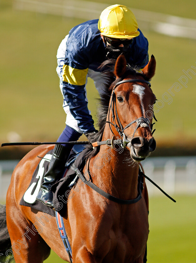 Red-Fescue-0001 
 RED FESCUE (David Probert)
Goodwood 11 Oct 2020 - Pic Steven Cargill / Racingfotos.com