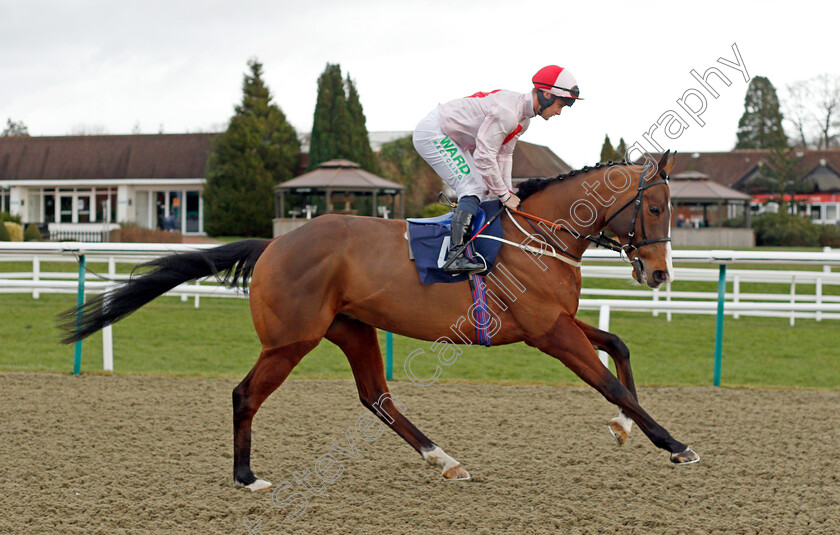 Living-Legend 
 LIVING LEGEND (Jason Hart)
Lingfield 5 Feb 2022 - Pic Steven Cargill / Racingfotos.com