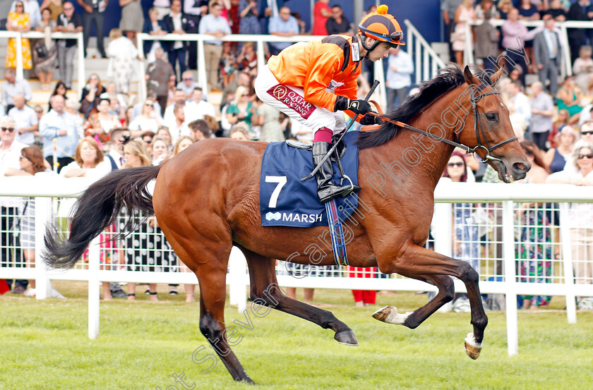 Hermoso-Mundo-0001 
 HERMOSO MUNDO (Oisin Murphy)
Newbury 20 Jul 2019 - Pic Steven Cargill / Racingfotos.com