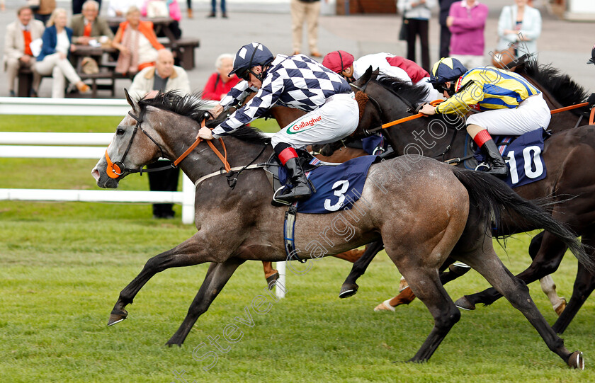 Aramis-Grey-0003 
 ARAMIS GREY (Shane Kelly) wins The Betway Casino Handicap
Lingfield 7 Sep 2020 - Pic Steven Cargill / Racingfotos.com