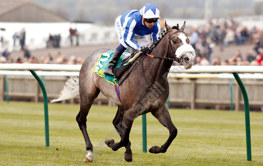 Shine-So-Bright-0005 
 SHINE SO BRIGHT (Silvestre De Sousa) wins The bet365 European Free Handicap
Newmarket 16 Apr 2019 - Pic Steven Cargill / Racingfotos.com