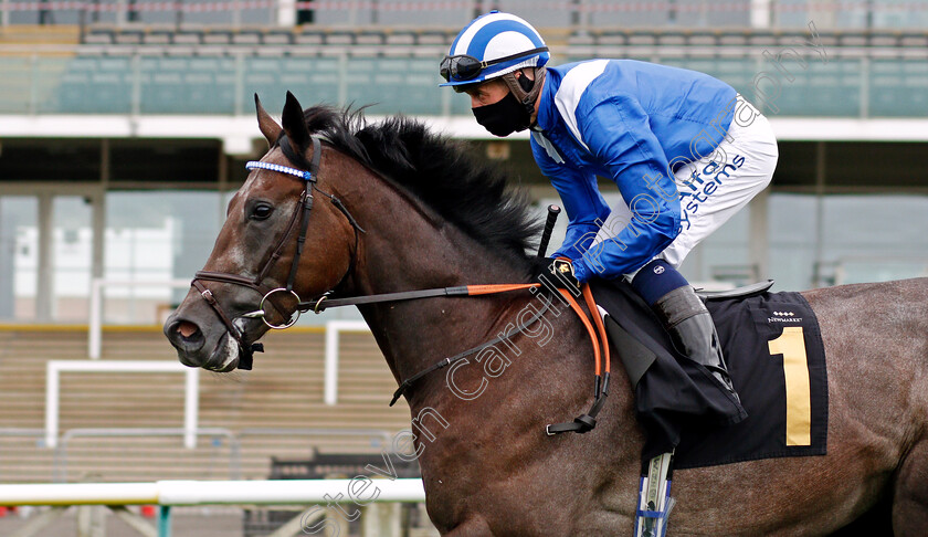 Alanmar-0002 
 ALANMAR (Jim Crowley)
Newmarket 30 Oct 2020 - Pic Steven Cargill / Racingfotos.com