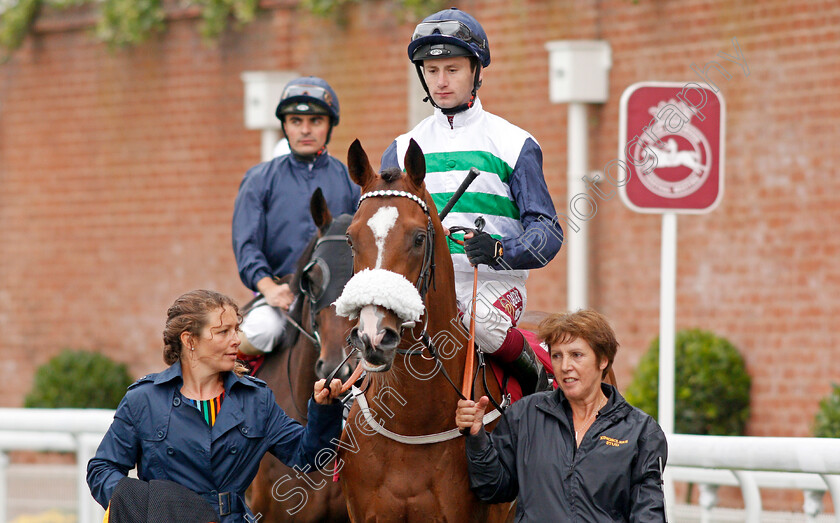 Dashing-Willoughby-0001 
 DASHING WILLOUGHBY (Oisin Murphy)
Goodwood 30 Jul 2019 - Pic Steven Cargill / Racingfotos.com