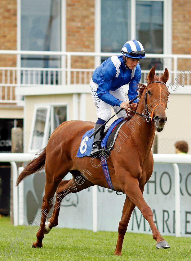 Hamseh-0001 
 HAMSEH (Jim Crowley)
Salisbury 2 Sep 2021 - Pic StevenCargill / Racingfotos.com