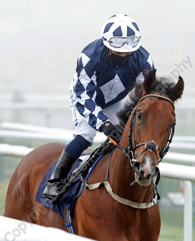 Intrusive-0001 
 INTRUSIVE (Silvestre De Sousa)
Doncaster 7 Nov 2020 - Pic Steven Cargill / Racingfotos.com