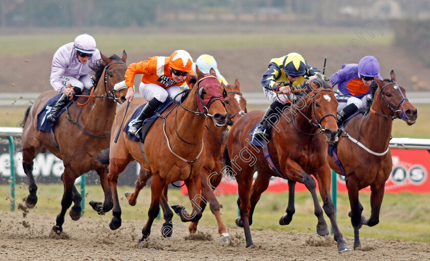 Goring-0003 
 GORING (left, Charles Bishop) beats SURREY HOPE (2nd right) and BATTLE OF MARATHON (right) in The Play For Free At sunbets.co.uk/vegas Handicap Lingfield 13 Jan 2018 - Pic Steven Cargill / Racingfotos.com