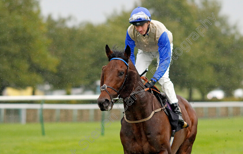 Baltic-0003 
 BALTIC (James Doyle)
Newmarket 26 Sep 2024 - pic Steven Cargill / Racingfotos.com