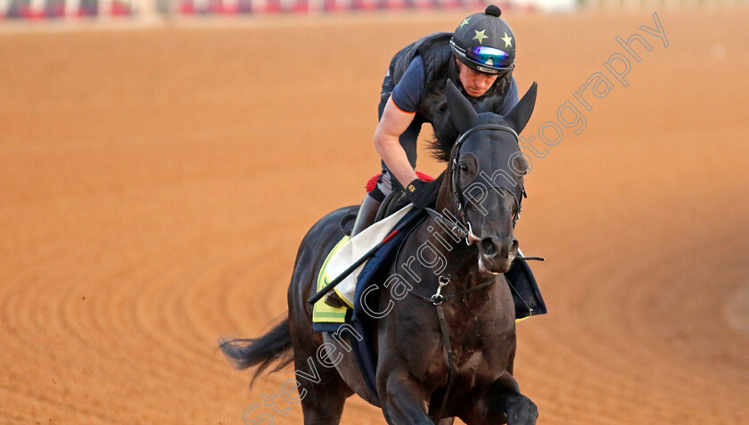 Mostahdaf-0002 
 MOSTAHDAF training for The Neom Turf Cup
King Abdulaziz Racecourse, Kingdom of Saudi Arabia, 22 Feb 2023 - Pic Steven Cargill / Racingfotos.com