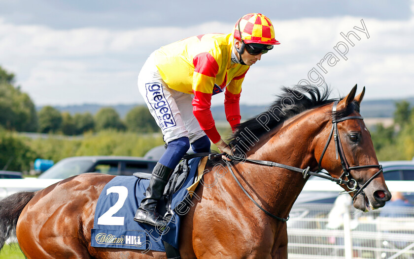 Savvy-Victory-0007 
 SAVVY VICTORY (David Probert) winner of The William Hill Handicap
Goodwood 28 Aug 2022 - Pic Steven Cargill / Racingfotos.com