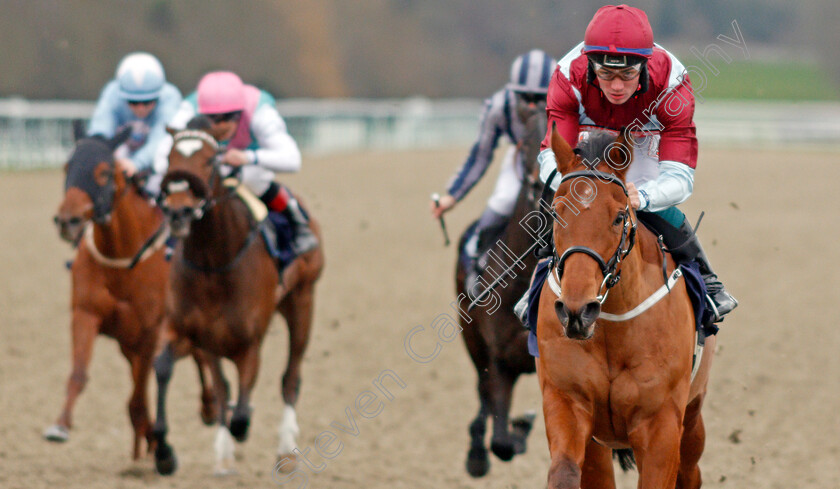 Bendy-Spirit-0003 
 BENDY SPIRIT (Connor Murtagh) wins The Ladbrokes Home Of The Odds Boost Handicap
Lingfield 2 Jan 2020 - Pic Steven Cargill / Racingfotos.com