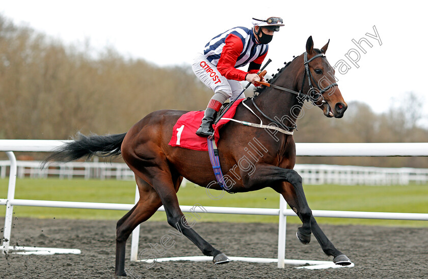 Pillar-Of-Hope-0001 
 PILLAR OF HOPE (Franny Norton)
Kempton 27 Mar 2021 - Pic Steven Cargill / Racingfotos.com