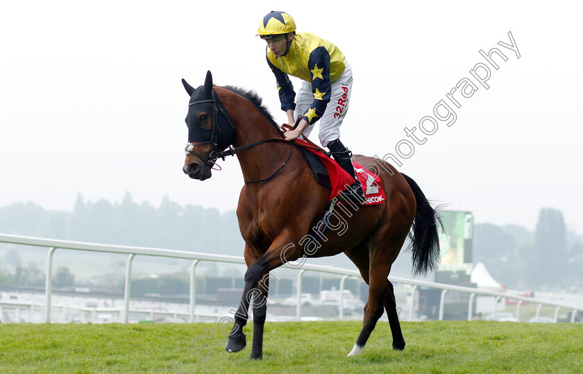 Desert-Encounter-0002 
 DESERT ENCOUNTER (Jamie Spencer)
Sandown 24 May 2018 - Pic Steven Cargill / Racingfotos.com