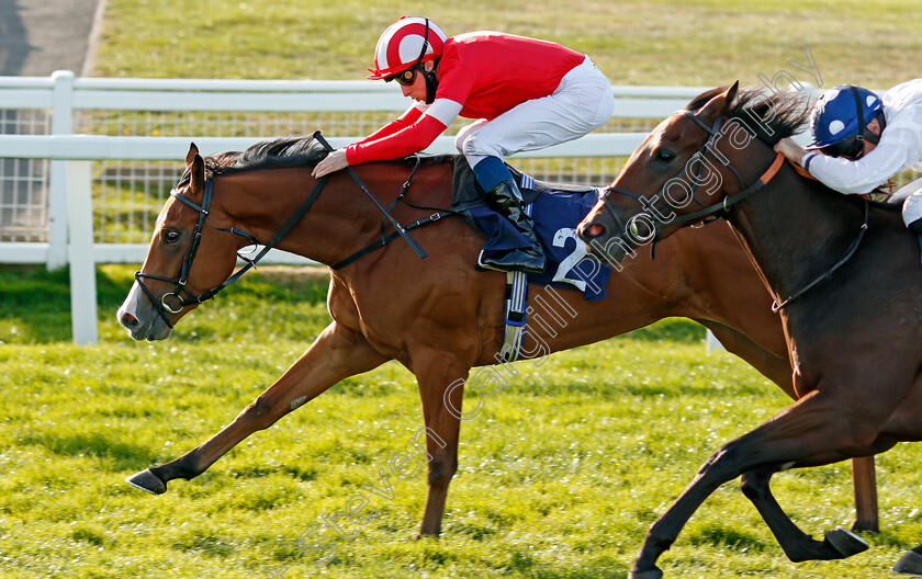 Al-Saariyah-0004 
 AL SAARIYAH (William Buick) beats VEDUTE (right) in The Ken Lindsay Memorial Nursery
Yarmouth 17 Sep 2020 - Pic Steven Cargill / Racingfotos.com