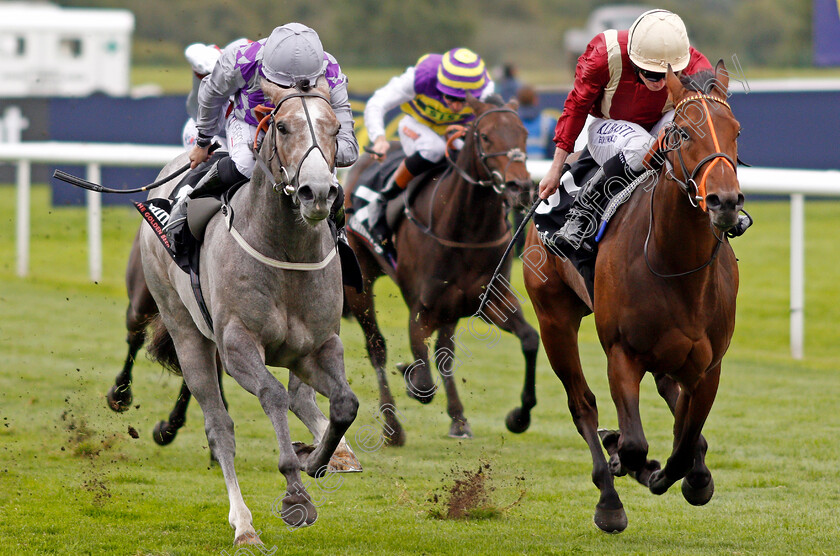 Heartache-0002 
 HEARTACHE (right, Ryan Moore) beats HAVANA GREY (left) in the Wainwrights Flying Childers Stakes Doncaster 15 Sep 2017 - Pic Steven Cargill / Racingfotos.com