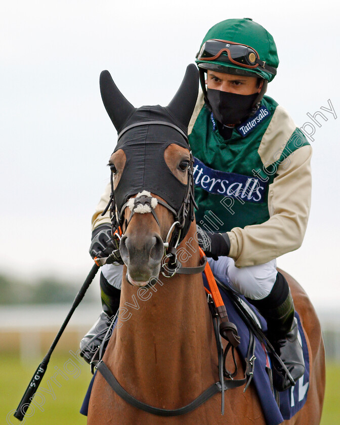 Fashion-Free-0001 
 FASHION FREE (Raul Da Silva)
Bath 18 Jul 2020 - Pic Steven Cargill / Racingfotos.com