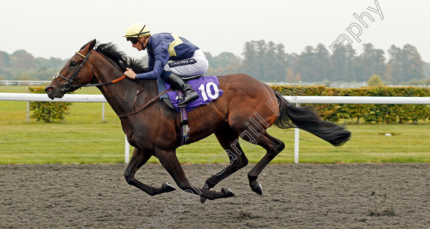 Ply-0005 
 PLY (Harry Bentley) wins The Winners Are Welcome At Matchbook Handicap Kempton 25 Sep 2017 - Pic Steven Cargill / Racingfotos.com