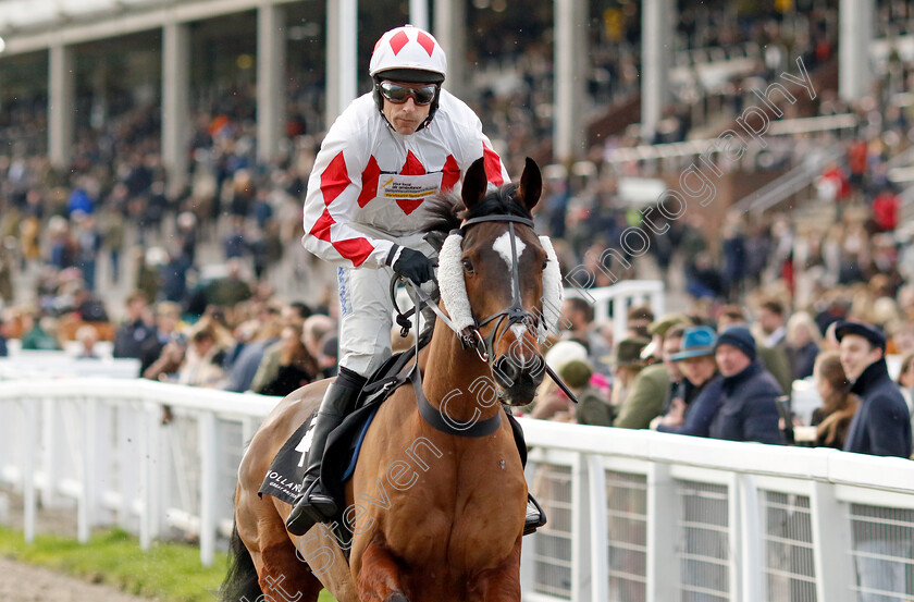 Ballygrifincottage-0001 
 BALLYGRIFINCOTTAGE (Harry Skelton)
Cheltenham 17 Nov 2024 - Pic Steven Cargill / Racingfotos.com