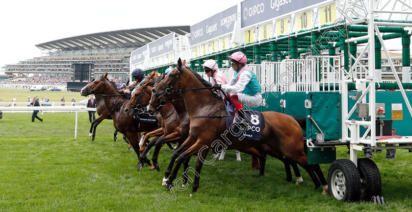 Enable-0011 
 ENABLE (Frankie Dettori) bursts from the stalls on her way to winning The King George VI and Queen Elizabeth Stakes
Ascot 27 Jul 2019 - Pic Steven Cargill / Racingfotos.com