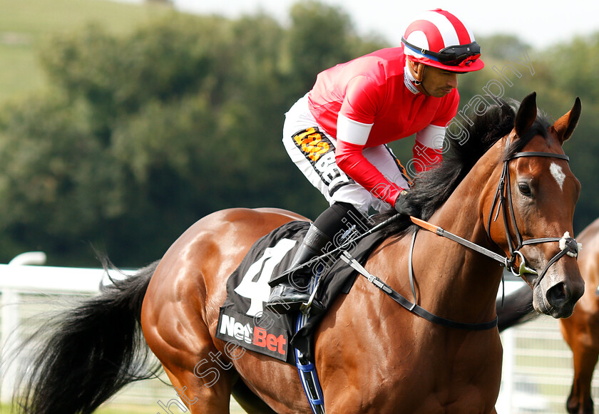 El-Gumryah-0001 
 EL GUMRYAH (Silvestre De Sousa)
Goodwood 4 Sep 2018 - Pic Steven Cargill / Racingfotos.com