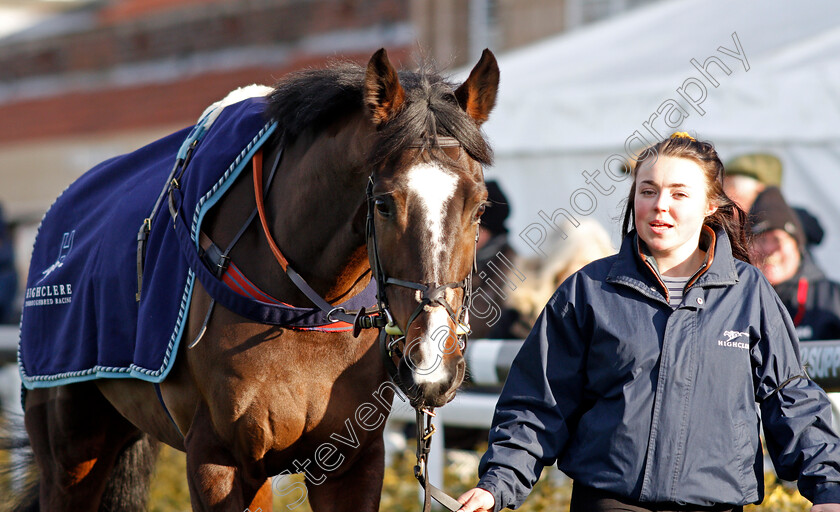 Coolnaugh-Haze-0004 
 COOLNAUGH HAZE
Warwick 9 Dec 2021 - Pic Steven Cargill / Racingfotos.com