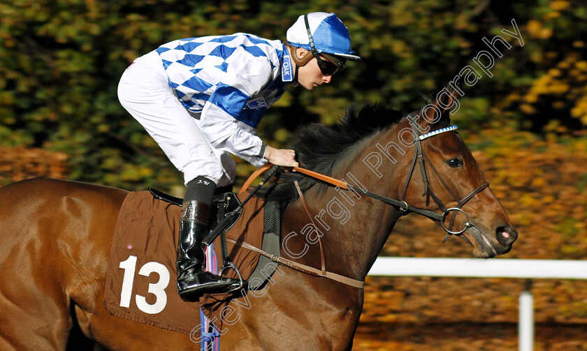 Scarlet-Ruby-0001 
 SCARLET RUBY (Jason Watson)
Kempton 20 Nov 2019 - Pic Steven Cargill / Racingfotos.com