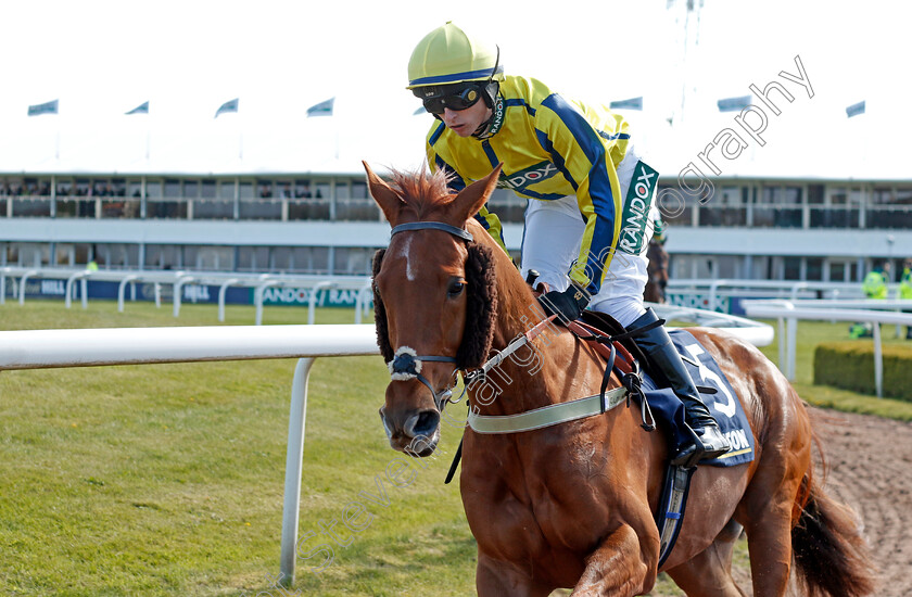 Perseus-Way-0001 
 PERSEUS WAY (Niall Houlihan)
Aintree 13 Apr 2023 - Pic Steven Cargill / Racingfotos.com