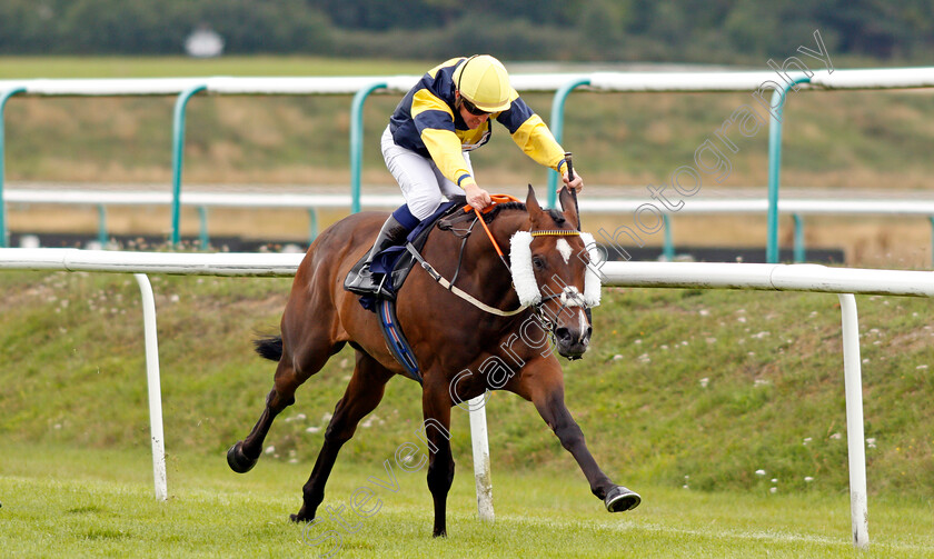 Mr-Chua-0004 
 MR CHUA (Jim Crowley) wins The Heed Your Hunch At Betway Handicap
Lingfield 2 Sep 2020 - Pic Steven Cargill / Racingfotos.com