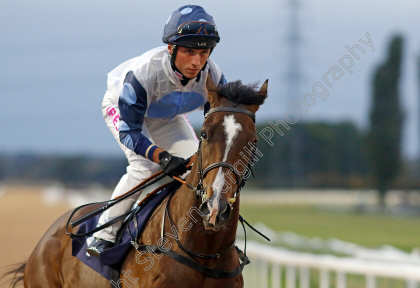 Awtaad-Prince-0001 
 AWTAAD PRINCE (Frederick Larson)
Southwell 4 Oct 2022 - Pic Steven Cargill / Racingfotos.com