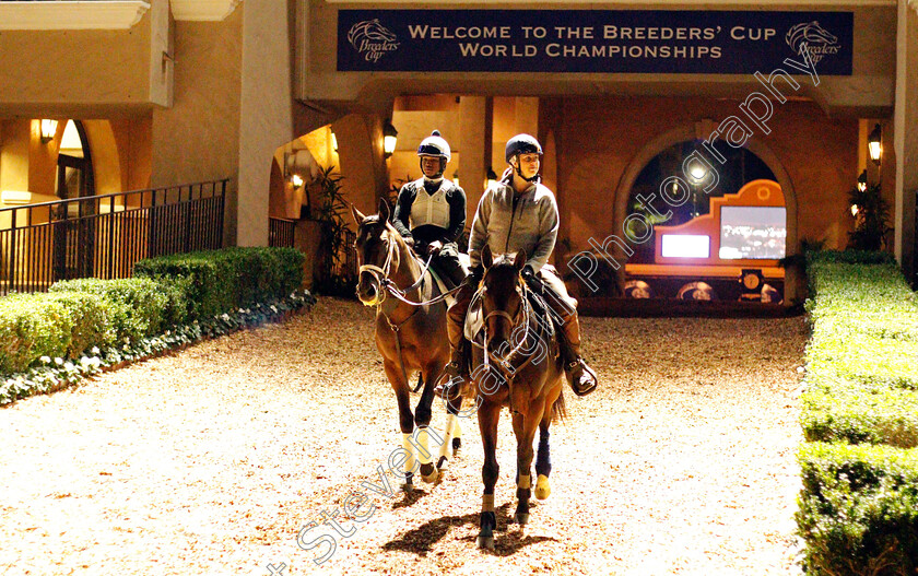 Del-Mar-0001 
 Horses heading to the track to train before dawn at Del Mar USA 31 Oct 2017 - Pic Steven Cargill / Racingfotos.com