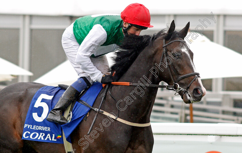 Pyledriver-0001 
 PYLEDRIVER (Martin Dwyer) winner of The Coral Coronation Cup
Epsom 4 Jun 2021 - pic Steven Cargill / Racingfotos.com