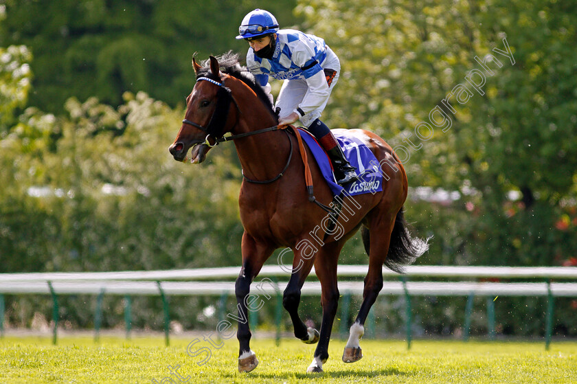 Saint-Lawrence-0001 
 SAINT LAWRENCE (David Egan)
Haydock 22 May 2021 - Pic Steven Cargill / Racingfotos.com