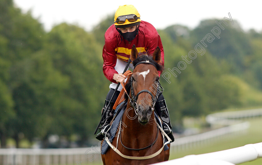 Gear-Up-0002 
 GEAR UP (Ryan Moore)
Newmarket 8 Jul21 - Pic Steven Cargill / Racingfotos.com