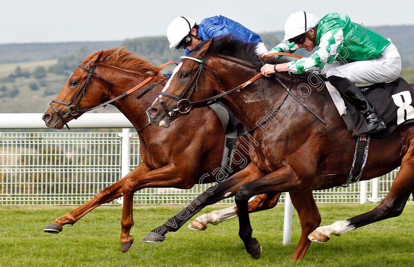 Line-Of-Duty-0006 
 LINE OF DUTY (William Buick) beats PABLO ESCOBARR (right) in The British EBF Peter WIllett Maiden Stakes
Goodwood 4 Sep 2018 - Pic Steven Cargill / Racingfotos.com