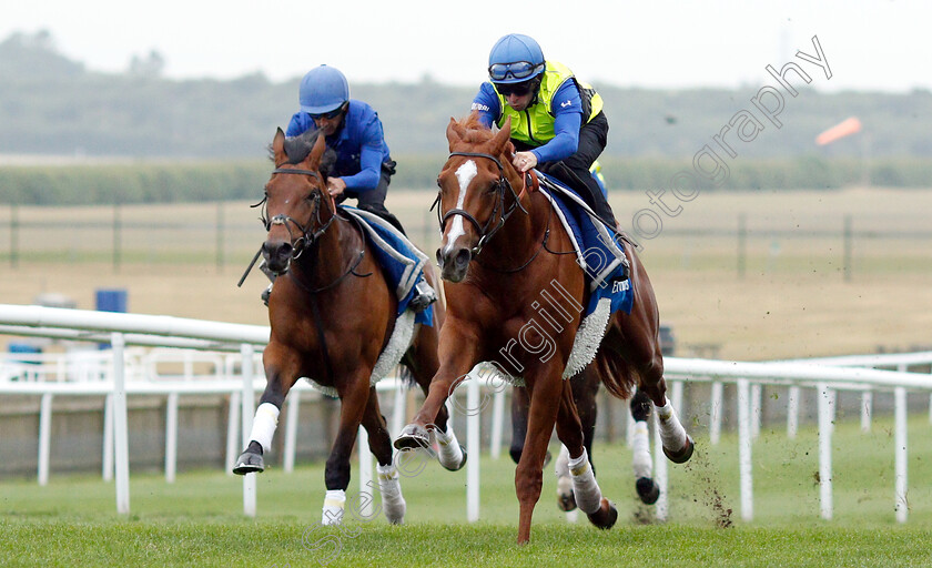 Masar-0005 
 MASAR (right, Brett Doyle) working at 6am
Newmarket 30 Jun 2018 - Pic Steven Cargill / Racingfotos.com