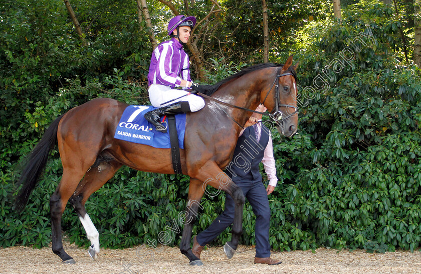 Saxon-Warrior-0001 
 SAXON WARRIOR (Donnacha O'Brien)
Sandown 7 Jul 2018 - Pic Steven Cargill / Racingfotos.com