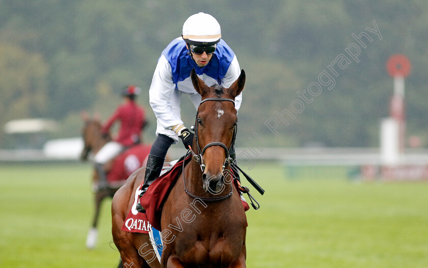 Tiego-The-First-0001 
 TIEGO THE FIRST (Cristian Demuro)
Longchamp 6 Oct 2024 - Pic Steven Cargill / Racingfotos.com