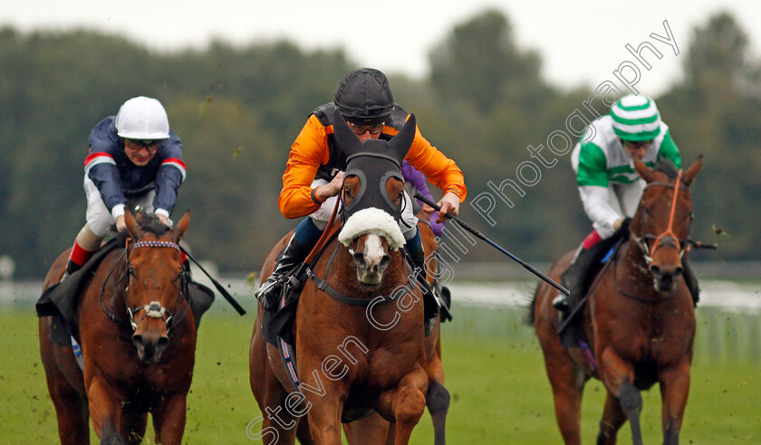 Raasel-0004 
 RAASEL (William Buick) wins The Persimmon Homes Handicap 
Nottingham 13 Oct 2021 - Pic Steven Cargill / Racingfotos.com