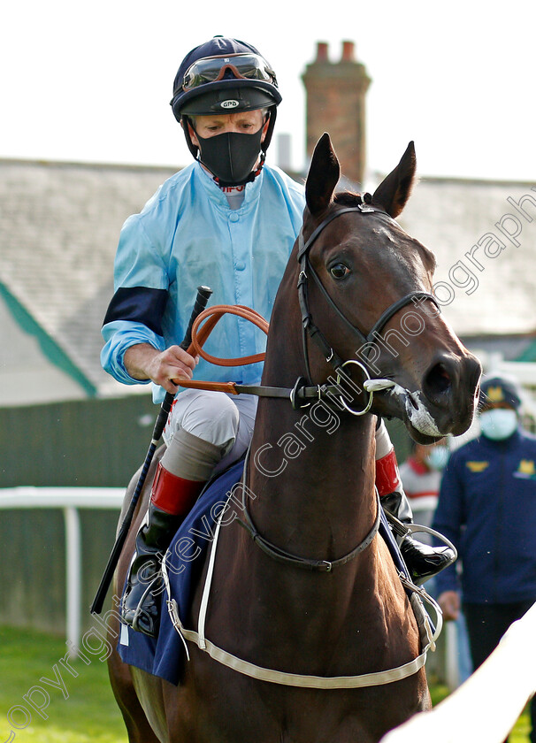 Immaculate-0002 
 IMMACULATE (Franny Norton)
Yarmouth 20 Oct 2020 - Pic Steven Cargill / Racingfotos.com