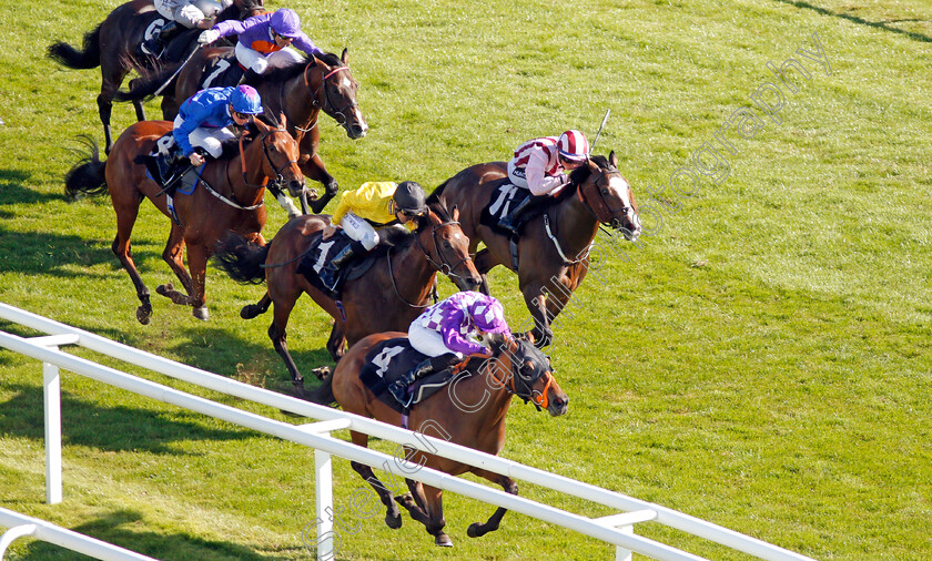 Separate-0002 
 SEPARATE (James Doyle) wins The Dubai Duty Free Nursery
Newbury 20 Spe 2019 - Pic Steven Cargill / Racingfotos.com