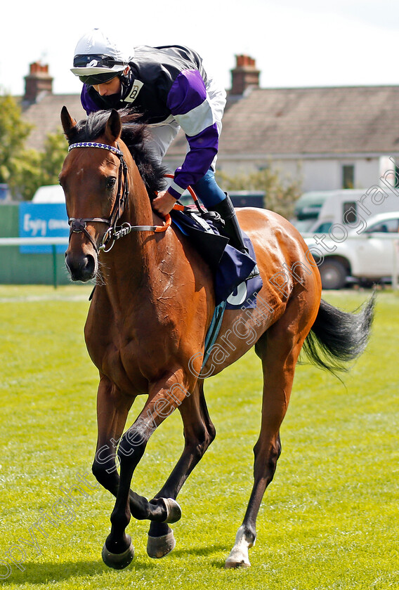 Sophar-Sogood-0001 
 SOPHAR SOGOOD (George Rooke)
Yarmouth 3 Aug 2020 - Pic Steven Cargill / Racingfotos.com