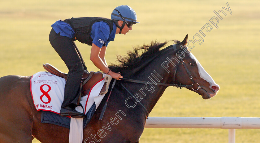 Talismanic-0002 
 TALISMANIC exercising in preparation for The Dubai World Cup Meydan 28 Mar 2018 - Pic Steven Cargill / Racingfotos.com