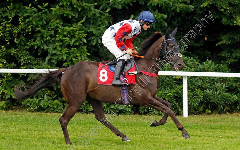 Continuance-0001 
 CONTINUANCE (Freddie Keighley)
Sandown 8 Aug 2024 - Pic Steven Cargill / Racingfotos.com