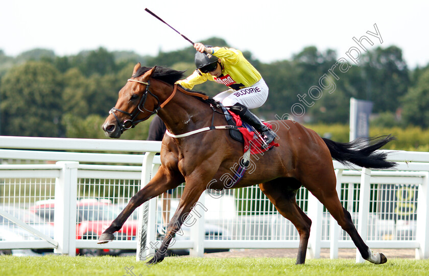 Beringer-0004 
 BERINGER (Martin Harley) wins The Beck Handicap
Sandown 15 Jun 2018 - Pic Steven Cargill / Racingfotos.com