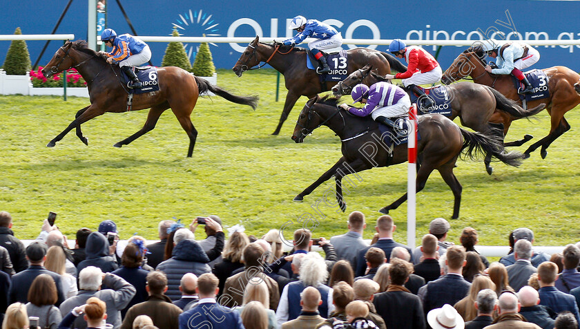 Hermosa-0009 
 HERMOSA (Wayne Lordan) beats LADY KAYA (nearside) in The Qipco 1000 Guineas
Newmarket 5 May 2019 - Pic Steven Cargill / Racingfotos.com