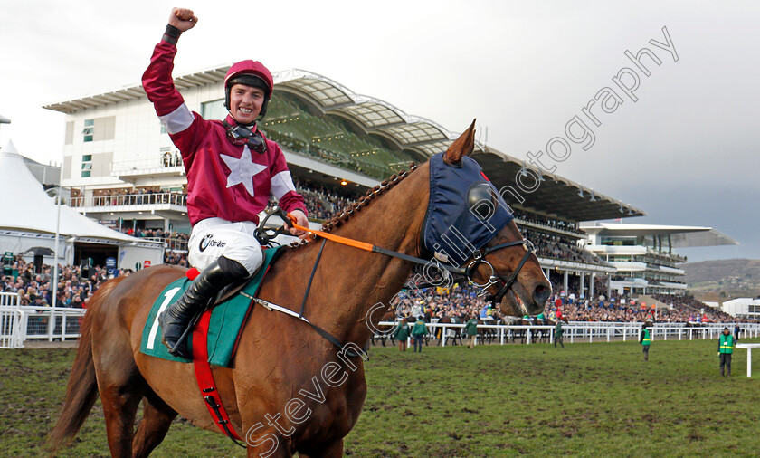 Blow-By-Blow-0009 
 BLOW BY BLOW (Donagh Meyler) after The Martin Pipe Conditional Jockeys Handicap Hurdle Cheltenham 16 mar 2018 - Pic Steven Cargill / Racingfotos.com