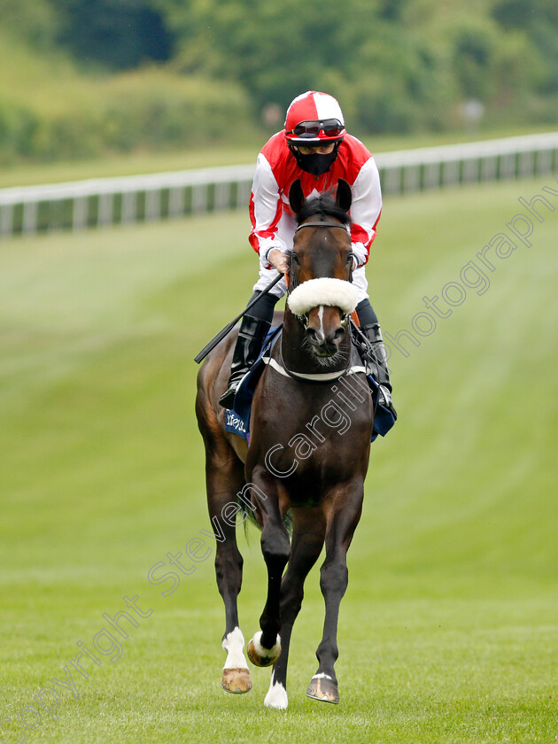 Aleezdancer-0001 
 ALEEZDANCER (Ryan Moore)
Newmarket 8 Jul 2021 - Pic Steven Cargill / Racingfotos.com