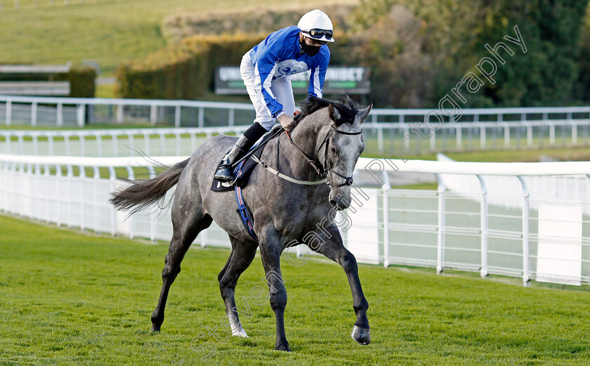 Toronado-Grey-0001 
 TORONADO GREY (Hector Crouch)
Goodwood 11 Oct 2020 - Pic Steven Cargill / Racingfotos.com