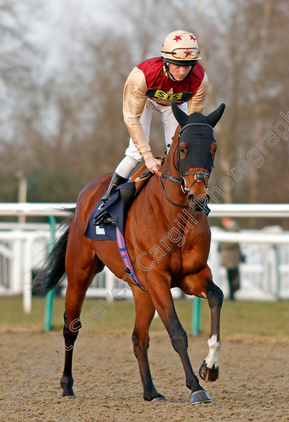 Perfect-Illusion-0001 
 PERFECT ILLUSION (Rob Hornby) winner of The 32Red Casino Novice Stakes Lingfield 23 Feb 2018 - Pic Steven Cargill / Racingfotos.com